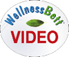 Klicken Sie hier um ein kurzes Video zum WellnessBett Schlafsystem anzusehen.
